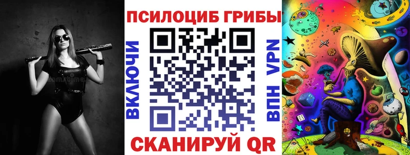Галлюциногенные грибы мицелий  Купить где  Новоалександровск 