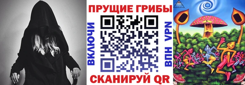 Псилоцибиновые грибы Cubensis Новоалександровск